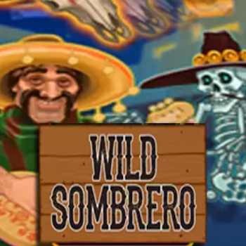 Wild sombrero logo