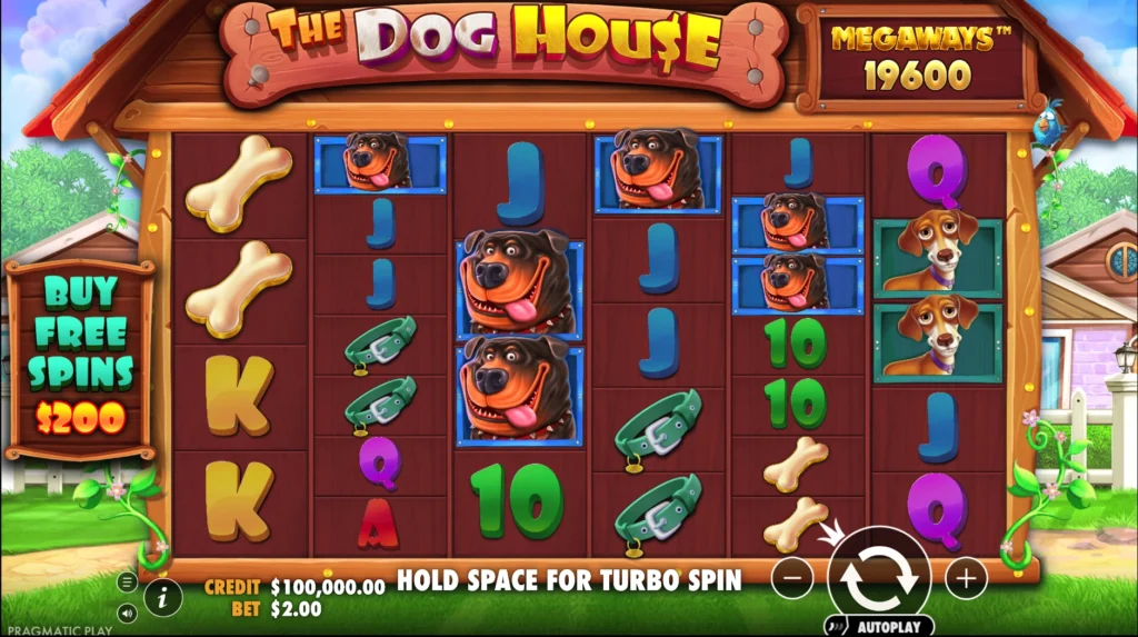 The Dog House Megaways Slot reels symbols